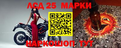 spice Кимры