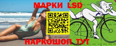 spice Кимры