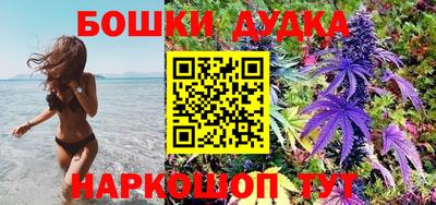 spice Кимры