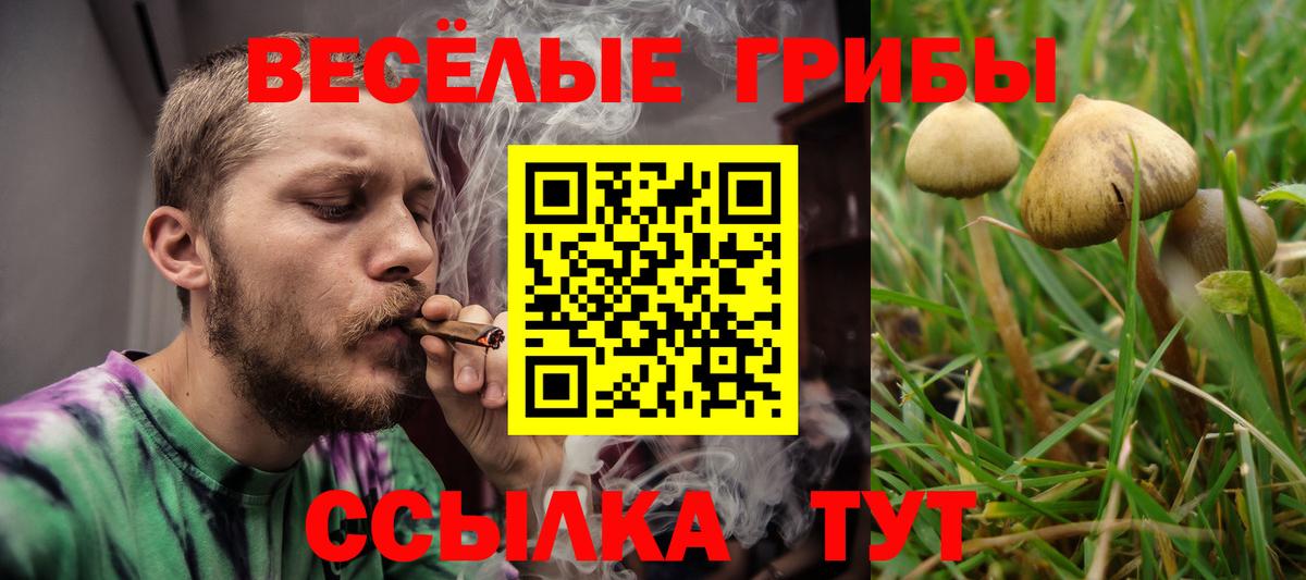 Галлюциногенные грибы Magic Shrooms Котовск
